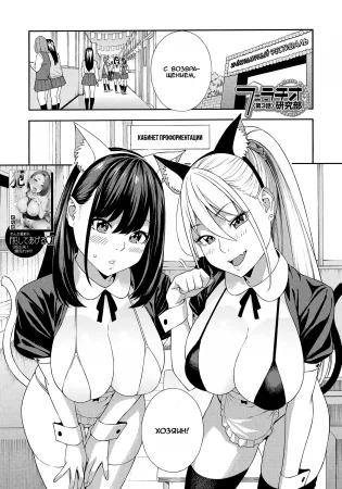 Fellatio Research Department - часть 3 (Клуб Изучения Минета)