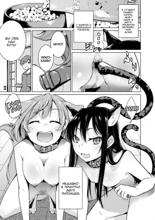 Dog & Cat Roleplay