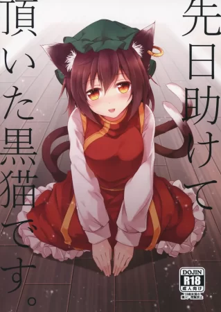 Я та самая чёрная кошка, которую ты спас (Senjitsu Tasukete Itadaita Kuroneko desu.)